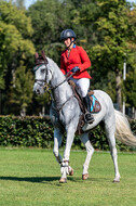 Kronenberg - De Peelbergen (August 2020)