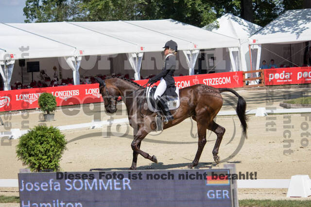 FEI European Championship Eventing 2017