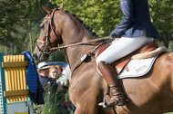 IGV Kleve