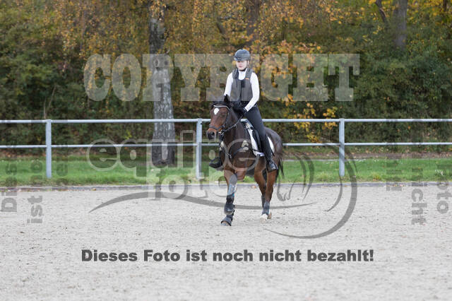 IGV Lehrgang der Sieger der Cups mit Frank Ostholt
