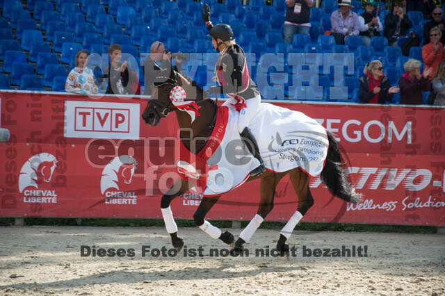 FEI European Championship Eventing 2017