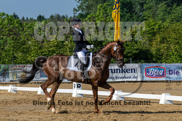 Westerstede Horse Trials 2021
