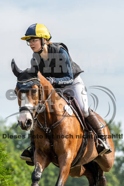 Goldene Schärpe 2021 - Ponys