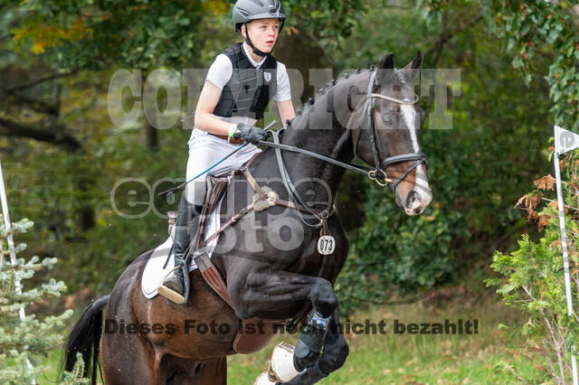 Goldene Schärpe 2020 - Pferde