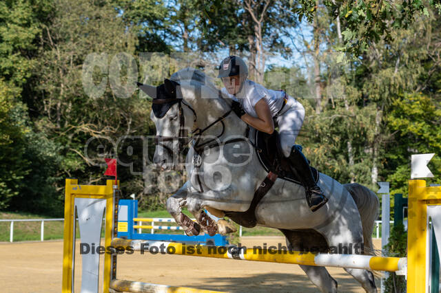 RFV Dinslaken-Hiesfeld (Herbstturnier)
