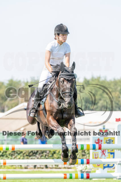 Kronenberg - De Peelbergen (August 2020)