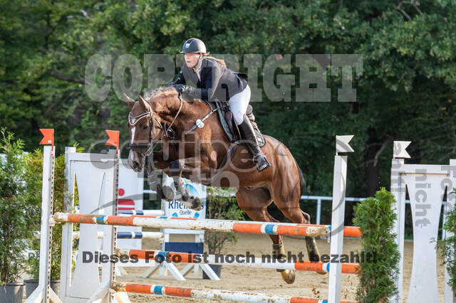 RFV Dinslaken-Hiesfeld (Herbstturnier)
