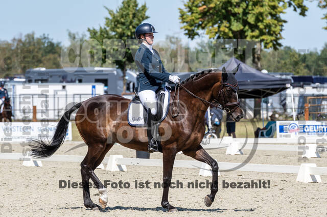 Kronenberg - De Peelbergen (August 2020)