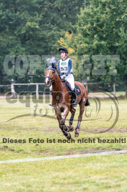 Deutsche Meisterschaft Vielseitigkeit (Luhmühlen)
