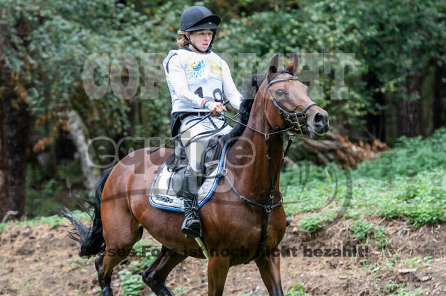 Vielseitigkeit RSV Wesel Obrighoven (26.+27.09.2020)