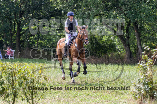 Late-Entry-Vielseitigkeit Gahlen (18.07.2020)