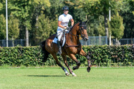 Kronenberg - De Peelbergen (August 2020)