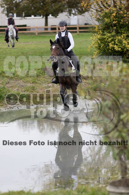 IGV Lehrgang der Sieger der Cups mit Frank Ostholt