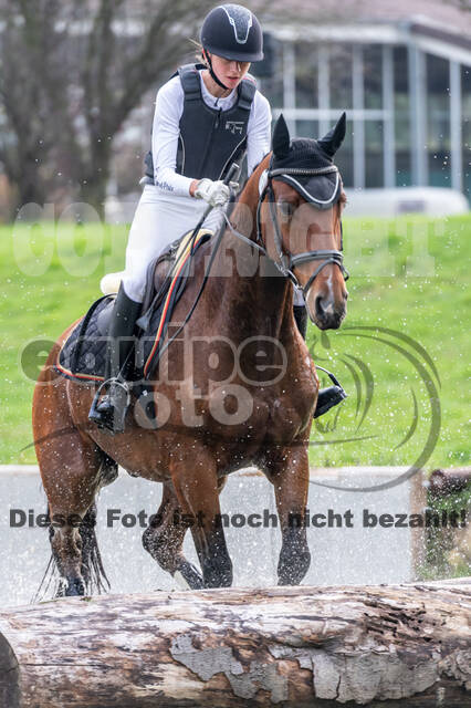 Goldene Schärpe 2020 - Pferde