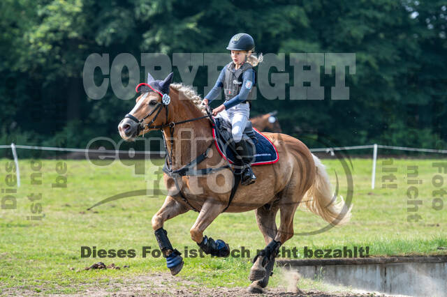 Goldene Schärpe 2021 - Ponys