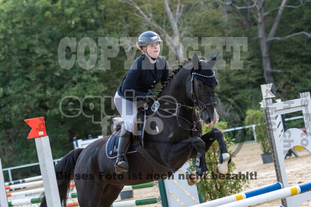 RFV Dinslaken-Hiesfeld (Herbstturnier)