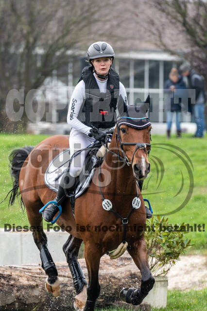 Goldene Schärpe 2020 - Pferde