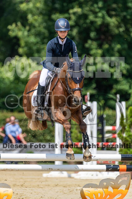Goldene Schärpe 2021 - Ponys