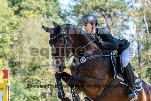 RFV Dinslaken-Hiesfeld (Herbstturnier)