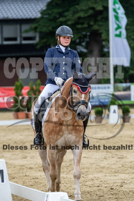 Goldene Schärpe 2021 - Ponys