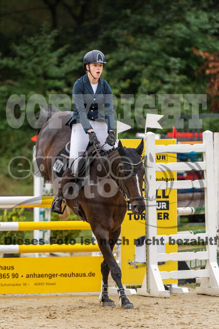 Vielseitigkeit RSV Wesel Obrighoven (26.+27.09.2020)