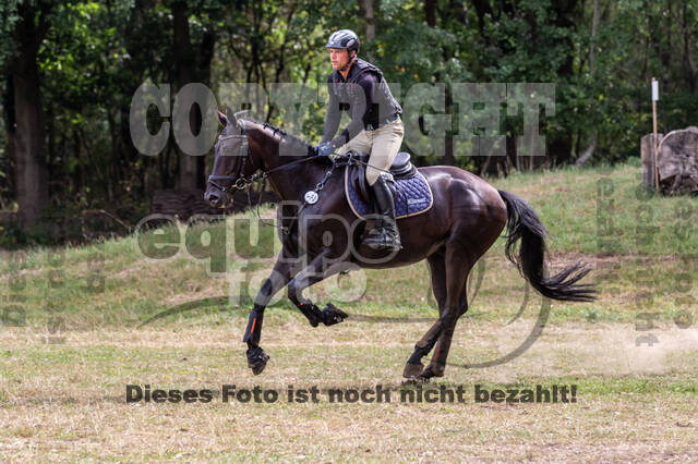 Late-Entry Vielseitigkeit Hamminkeln/Wesel (01.+02.08.2020)