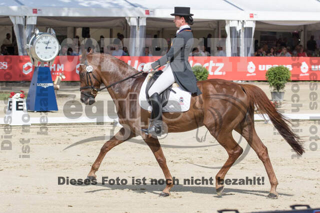 FEI European Championship Eventing 2017