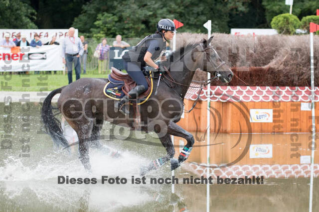 FEI European Championship