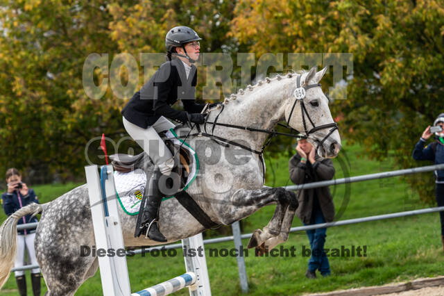 Goldene Schärpe 2020 - Pferde