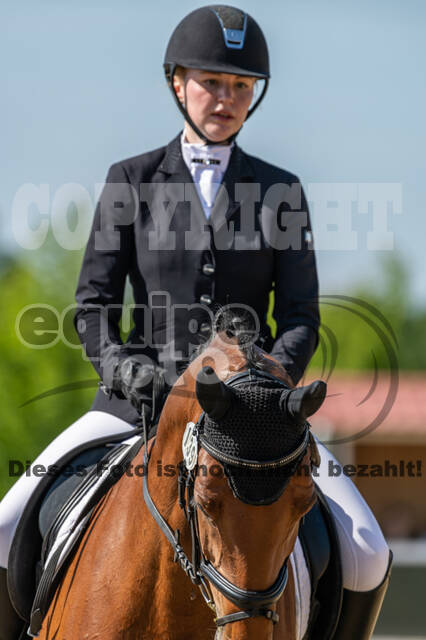 Westerstede Horse Trials 2021