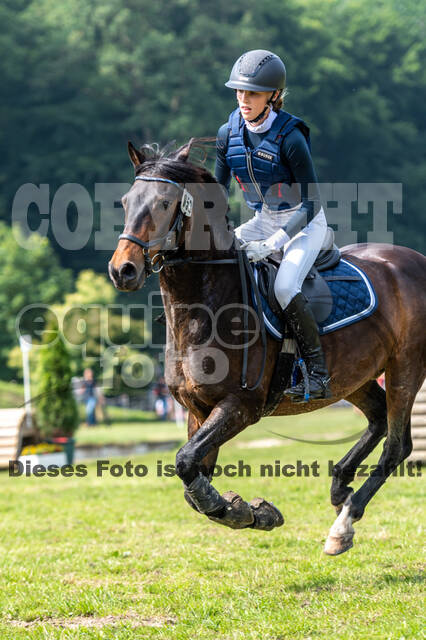 Goldene Schärpe 2021 - Ponys