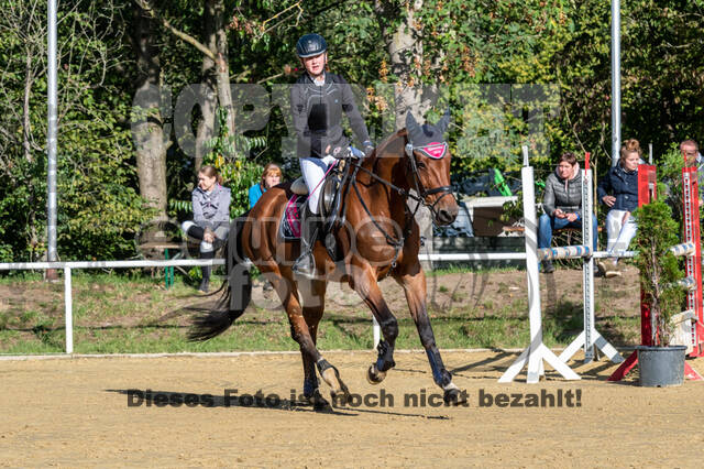 RFV Dinslaken-Hiesfeld (Herbstturnier)