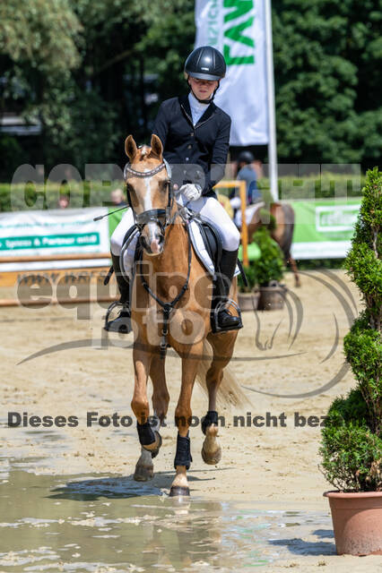 Goldene Schärpe 2021 - Ponys