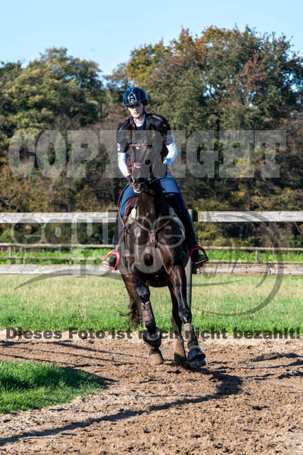 Vielseitigkeitslehrgang mit Jürg Kurbel (9.+10.11.2019)