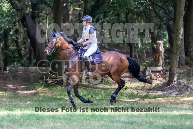 Late-Entry Vielseitigkeit Hamminkeln/Wesel (01.+02.08.2020)