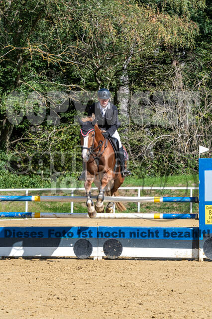 RFV Dinslaken-Hiesfeld (Herbstturnier)