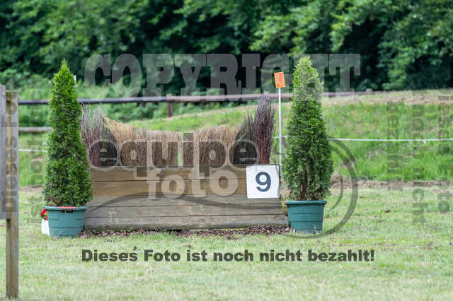 Goldene Schärpe 2021 - Ponys