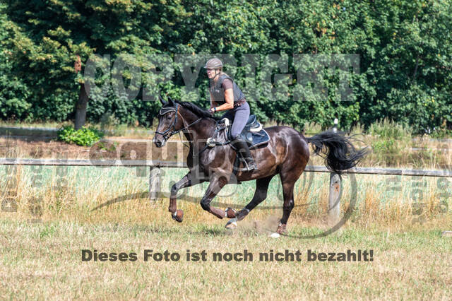 Hunter Geländetraining (16.08.2020)