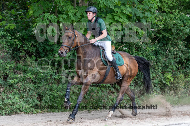 Late-Entry-Vielseitigkeit Langenfeld (11.+13./14.06.2020)