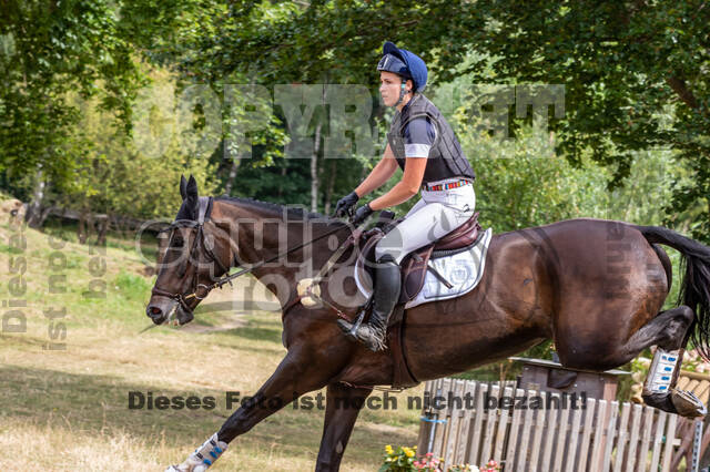 Late-Entry Vielseitigkeit Hamminkeln/Wesel (01.+02.08.2020)