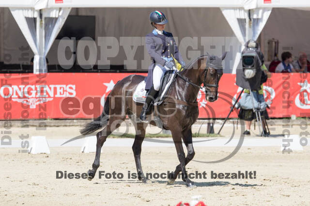 FEI European Championship
