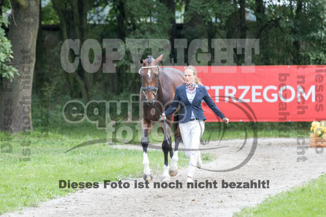 FEI European Championship Eventing 2017