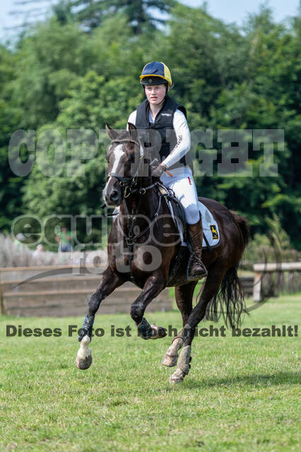 Goldene Schärpe 2021 - Ponys