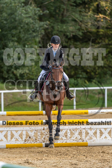 RFV Dinslaken-Hiesfeld (Herbstturnier)