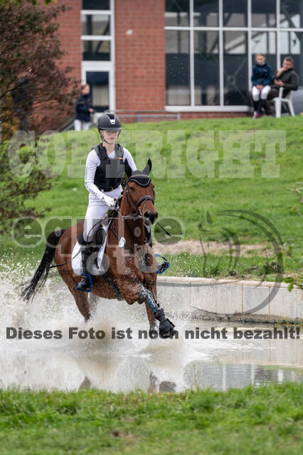 Goldene Schärpe 2020 - Pferde