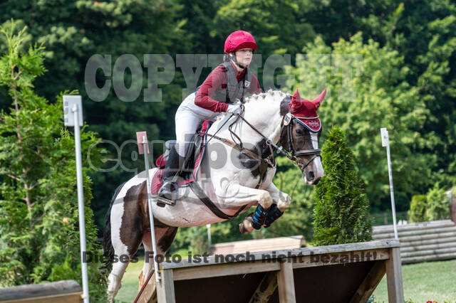 Goldene Schärpe 2021 - Ponys