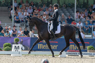 FEI European Championship Eventing 2019