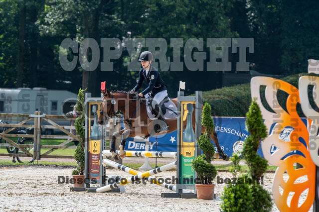 Goldene Schärpe 2021 - Ponys