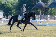 Kronenberg - De Peelbergen (August 2020)