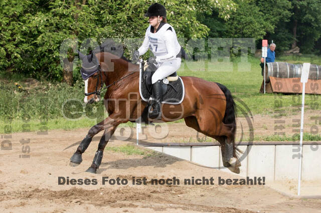 Vielseitigkeitsturnier ZRFV von Lützow Hamminkeln